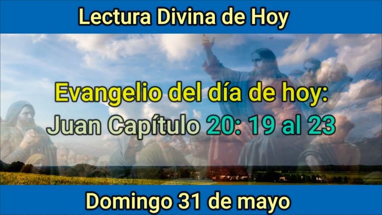 Evangelio de hoy 31 de mayo: Juan Capítulo 20: 19 al 23