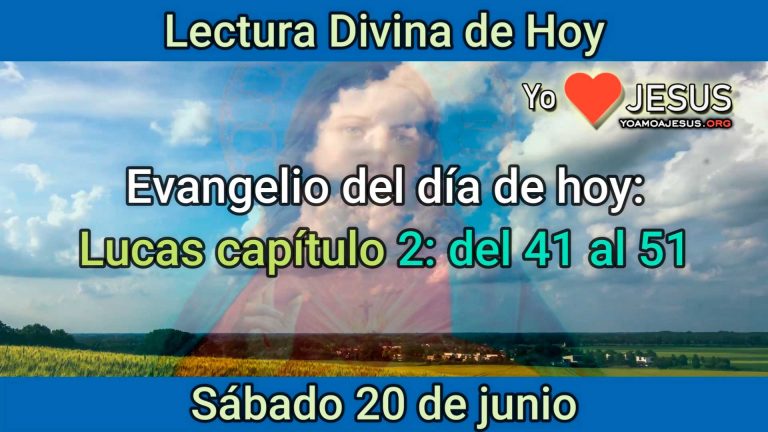 Evangelio de hoy 20 de junio: Lucas capítulo 2: del 41 al 51