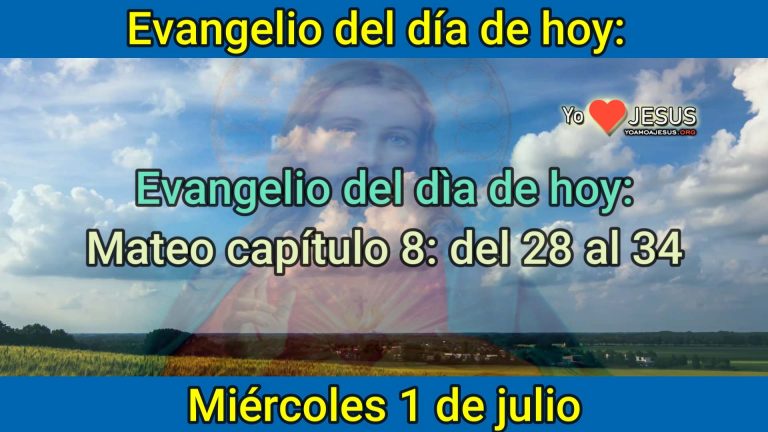 Evangelio de hoy miércoles 1 de julio: Mateo capítulo 8: 28 al 34