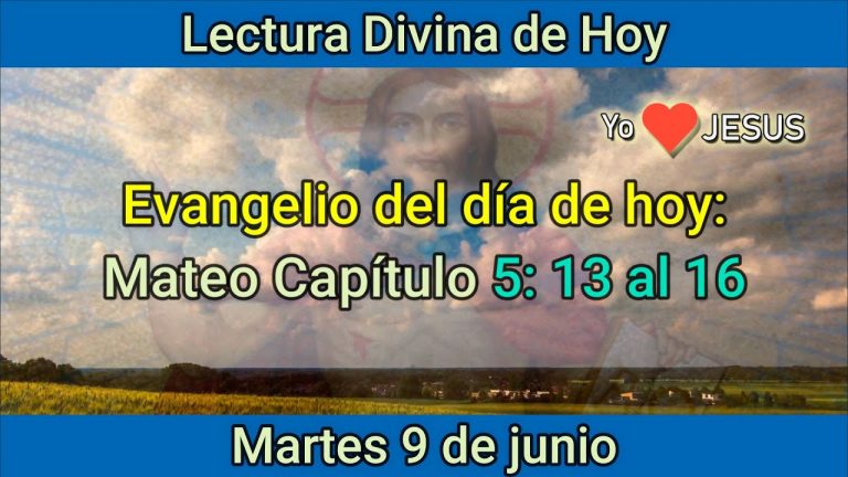 Evangelio de hoy 9 de junio: Mateo Capítulo 5: 13 al 16