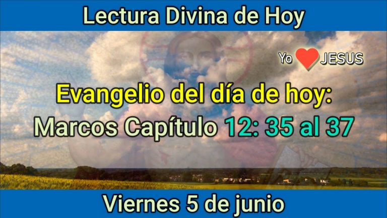 Evangelio de hoy 5 de junio: Marcos Capitulo 12: 35 al 37