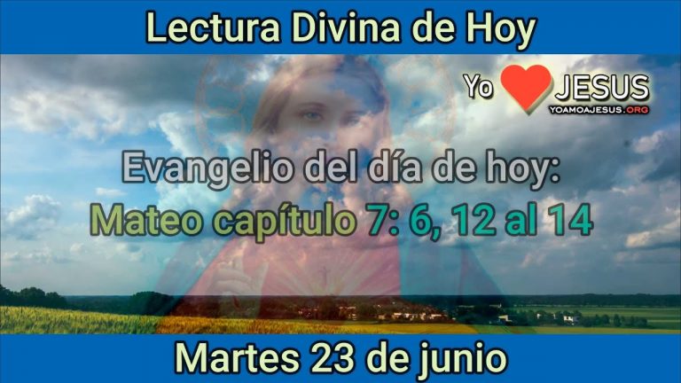 Evangelio de hoy 23 de junio: Mateo capítulo 7: 6, 12 al 14