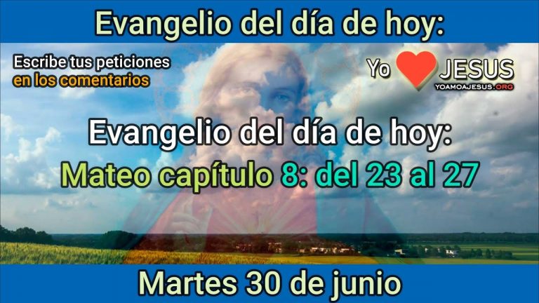 Evangelio de hoy martes 30 de junio: Mateo capítulo 8: 23 al 27