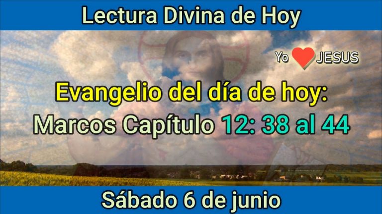 Evangelio de hoy 6 de junio: Marcos Capitulo 12: 38 al 44