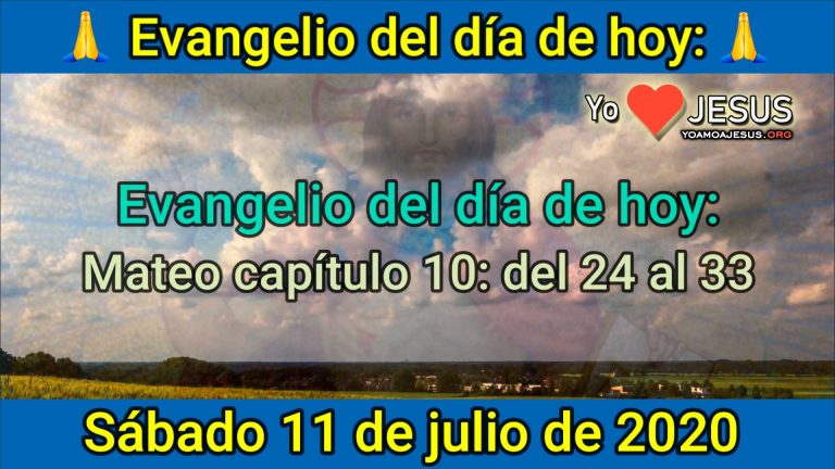 Evangelio de hoy sábado 11 de julio: Mateo capítulo 10: del 24 al 33