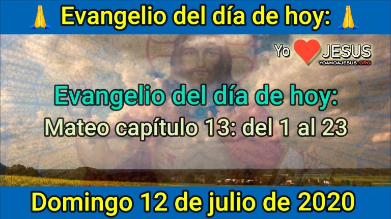 Evangelio de hoy domingo 12 de julio: Mateo capítulo 13: del 1 al 23