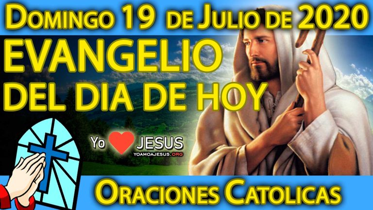 Evangelio de hoy domingo 19 de julio: Mateo capítulo 13: del 24 al 43