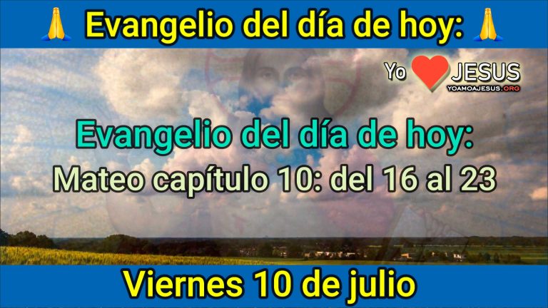 Evangelio de hoy viernes 10 de julio: Mateo capítulo 10: del 16 al 23