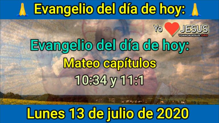 Evangelio de hoy lunes 13 de julio: Mateo capítulo 10:34 y capítulo 11:1