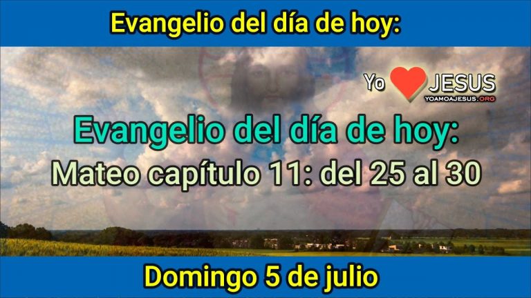 Evangelio de hoy domingo 5 de julio: Mateo capítulo 11: del 25 al 30