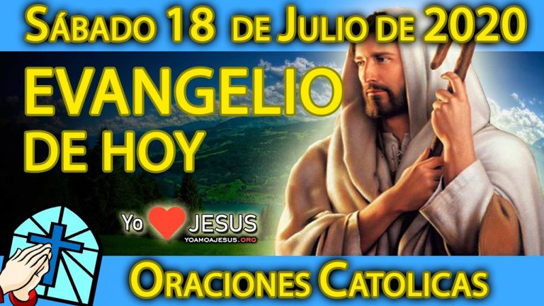 Evangelio de hoy sábado 18 de julio: Mateo capítulo 12: del 14 al 21