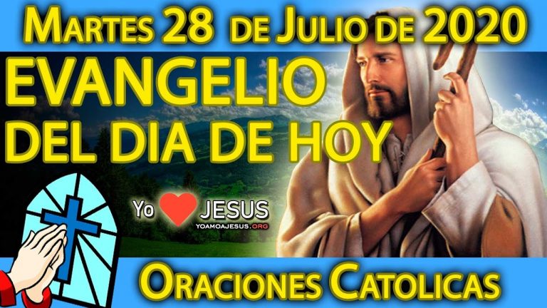 Evangelio de hoy martes 28 de julio: Mateo capítulo 13: del 36 al 43