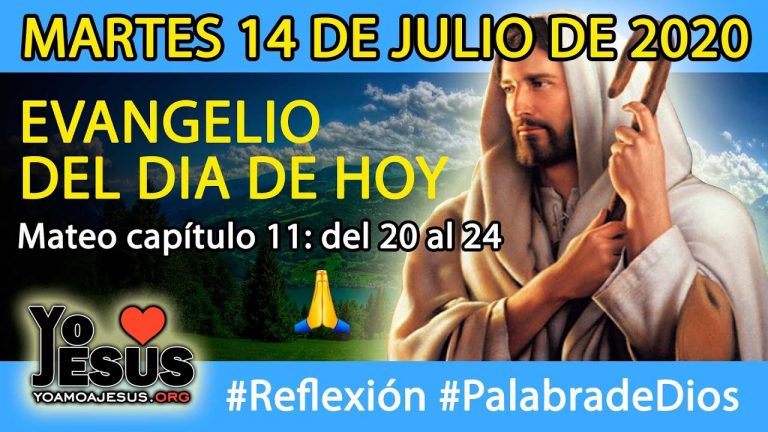 Evangelio de hoy martes 14 de julio: Mateo capítulo 11: del 20 al 24