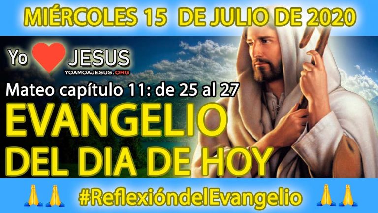 Evangelio de hoy miércoles 15 de julio: Mateo capítulo 11: de 25 al 27