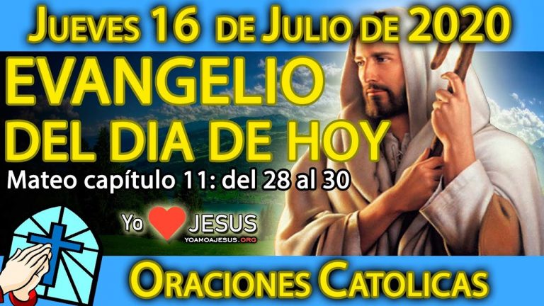 Evangelio de hoy jueves 16 de julio: San Mateo capítulo 11: del 28 al 30