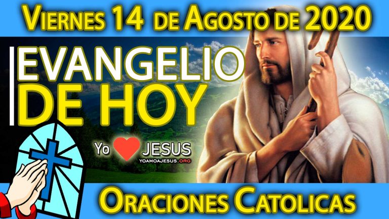 Evangelio de hoy viernes 14 de agosto de 2020: Mateo capítulo 19: del 3 al 12