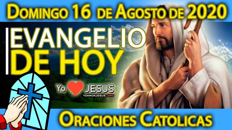 Evangelio de hoy domingo 16 de agosto: Mateo capítulo 15: del 21 al 28