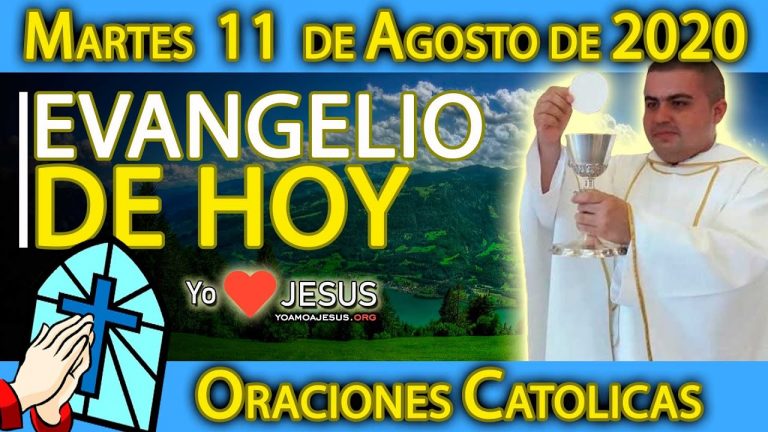 Evangelio de hoy martes 11 de agosto de 2020: Mateo capítulo 18: versículos: 1-5, 10, 12-14